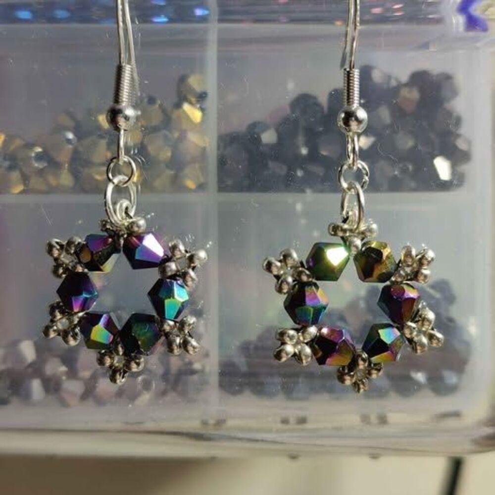 Multi Color Shimmering Earrings